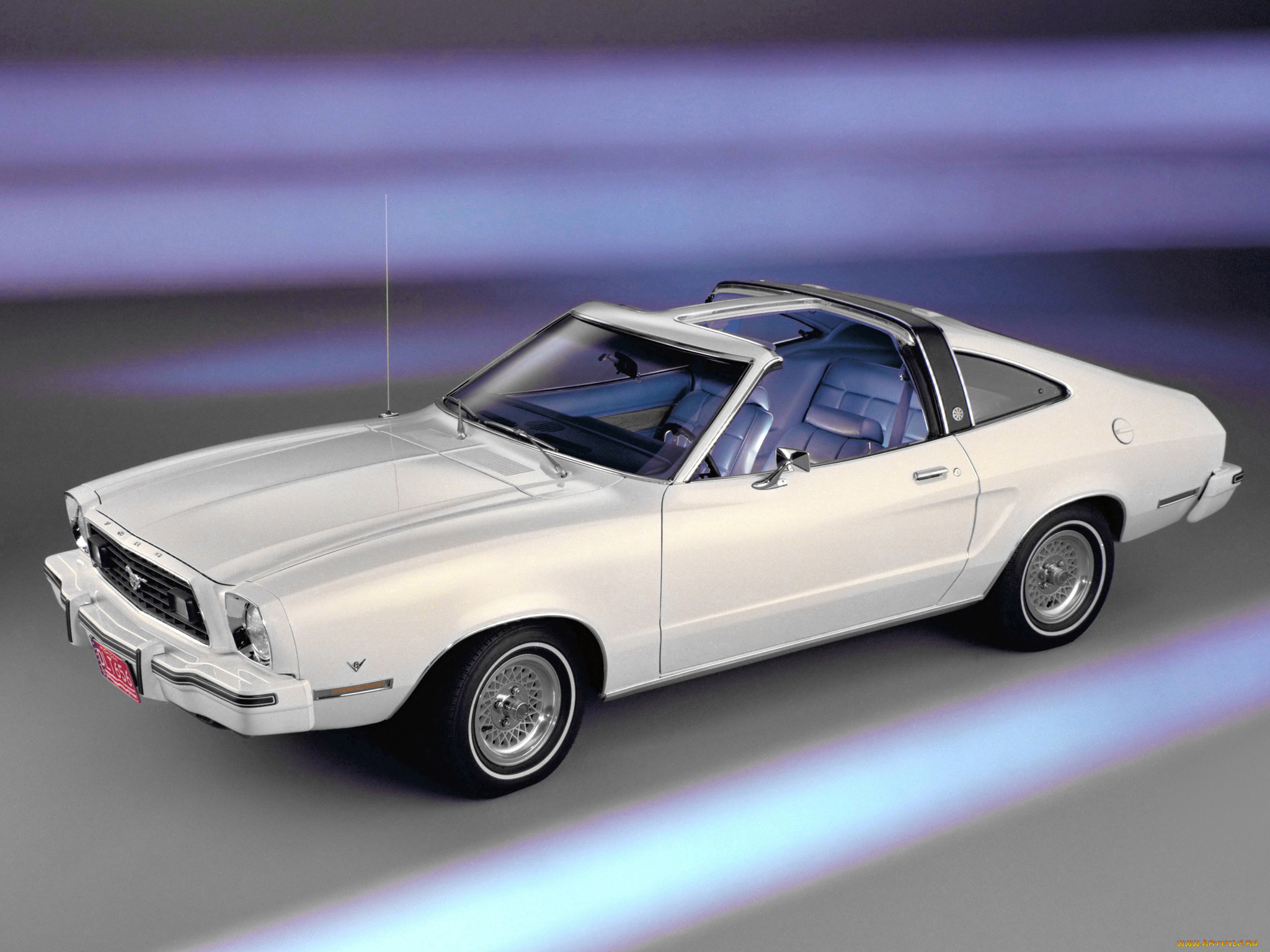 mustang, roof, 